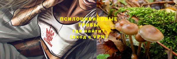 МДПВ Бугульма