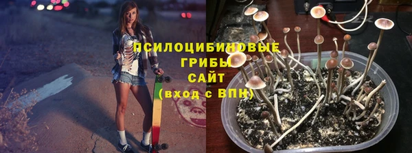 МДПВ Бугульма